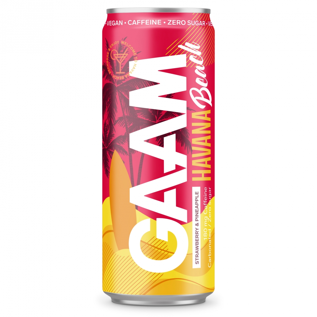 GAAM Energy 330 ml