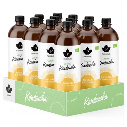 12 x Puhdistamo Luomu Kombucha 370 ml Inkivääri & sitruuna