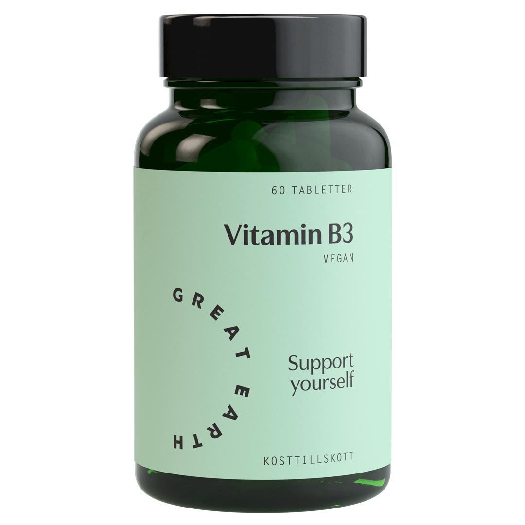 Great Earth Vitamin B3 60 tabs