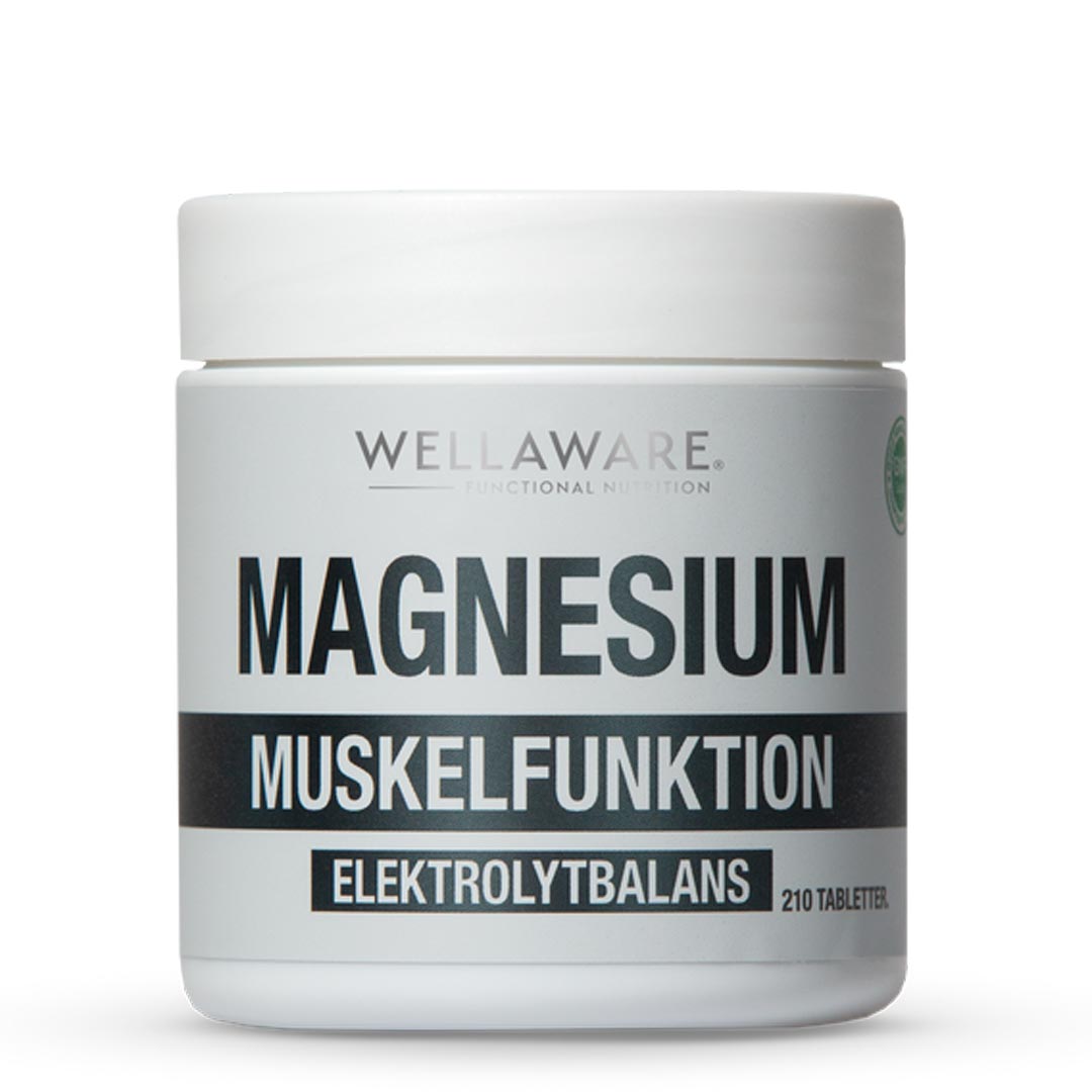WellAware Magnesium 210 tabs