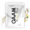 GAAM Whey Proteiinijauhe Portionspåse 33 g