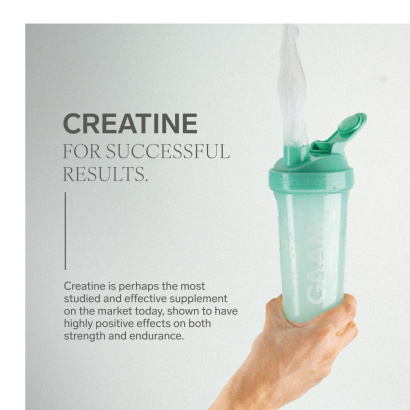 GAAM Creatine Kreatiini 300 g