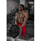 Gorilla Wear San Antonio Shorts Red