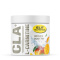 Elit Nutrition CLA + L-Carnitine 180 g Elit Nutrition CLA + L-Carnitine 180 g