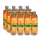 12 x Latitude 65 500 ml Sundsvall - Ice Tea Peach 12 x Latitude 65 500 ml Sundsvall - Ice Tea Peach